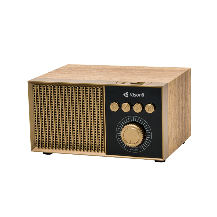 speaker kisonli g10