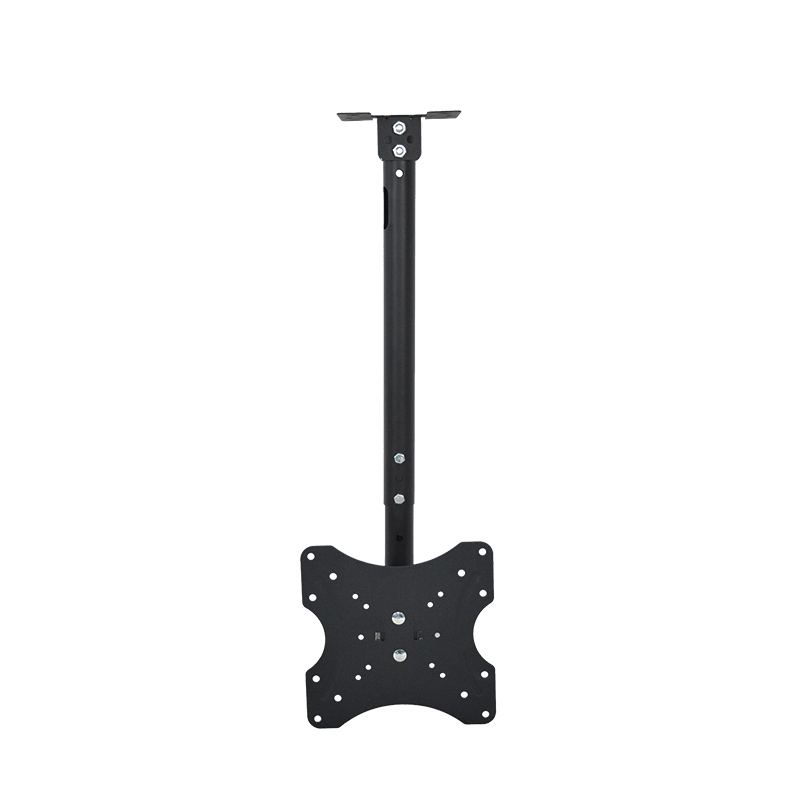 ceiling mount