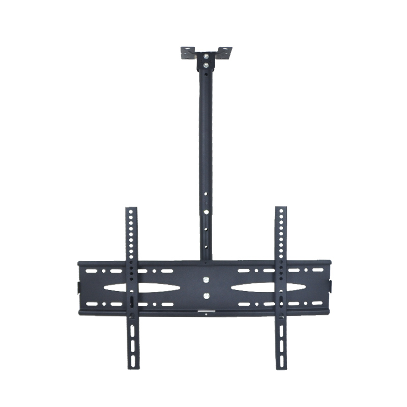 ceiling mount